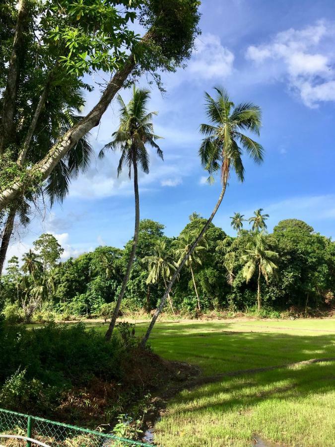 Uyana Boutique Hotel And Retreat Adults Only 阿杭格默 外观 照片