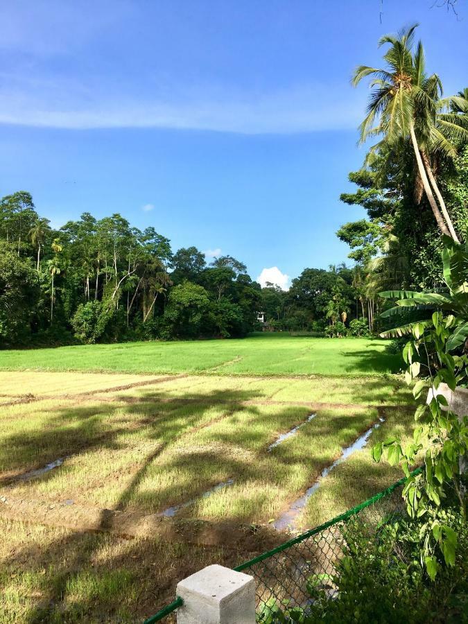 Uyana Boutique Hotel And Retreat Adults Only 阿杭格默 外观 照片